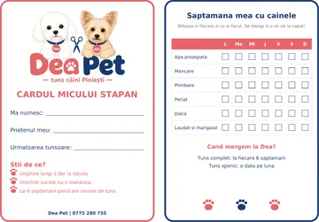Cardul micului stăpân Dea Pet, față și verso: numele copilului, prietenul meu, următoarea tunsoare și bife pe 7 zile pentru apă proaspătă, mâncare, plimbare, periat, joacă, laude și mângâieri